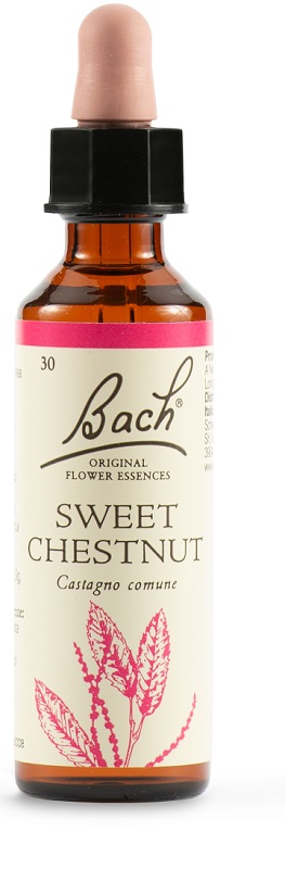SWEET CHEST BACH ORIG 20 ML - Gruppofarmastore.it