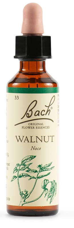 WALNUT BACH ORIG 20 ML - Gruppofarmastore.it
