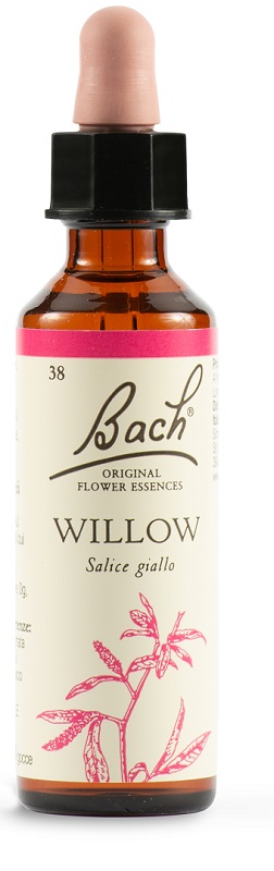WILLOW BACH ORIG 20 ML - Gruppofarmastore.it