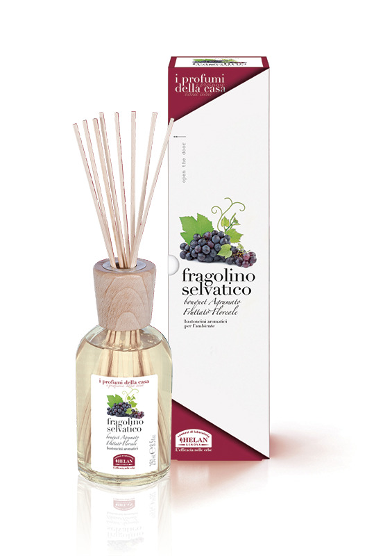 I PROFUMI DELLA CASA FRAGOLINO SELVATICO-BASTONCINI AROMATICI 100 ML - Gruppofarmastore.it