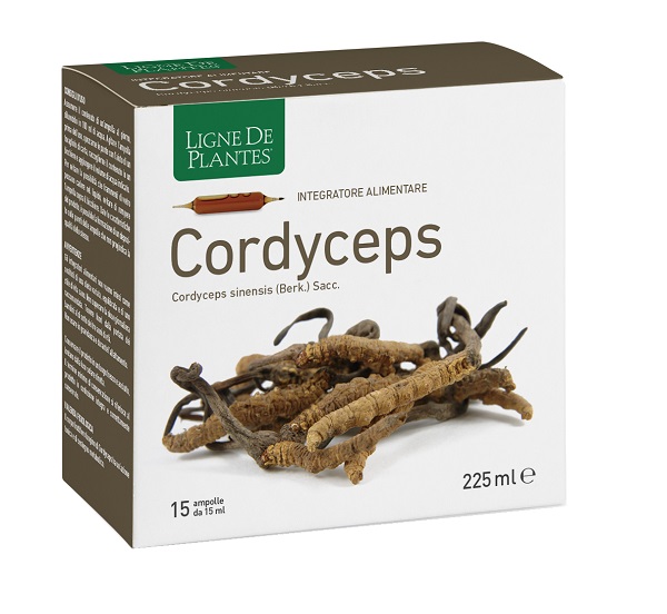 CORDYCEPS 15 AMPOLLE BEVIBILI DA 15 ML - Gruppofarmastore.it