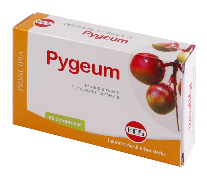 PYGEUM ESTRATTO SECCO 60 COMPRESSE - Gruppofarmastore.it