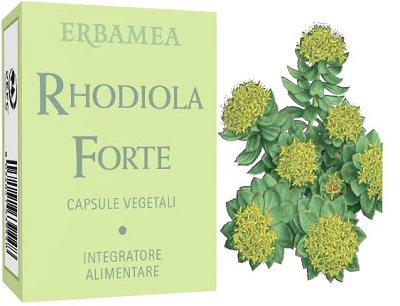 RHODIOLA FORTE 24 CAPSULE - Gruppofarmastore.it