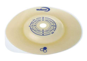 PLACCA CONVESSA AURUM 2 55MM RITAGLIABILE 5 PEZZI - Gruppofarmastore.it