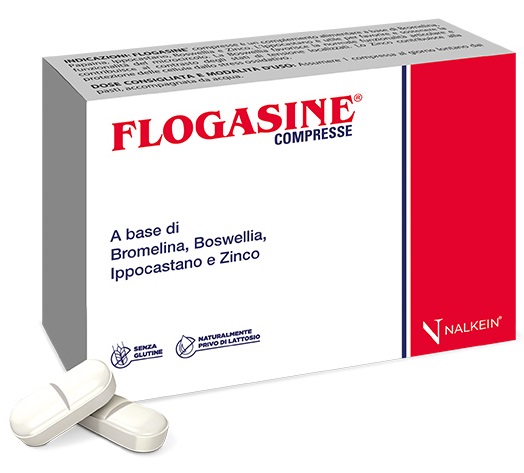 FLOGASINE 20 COMPRESSE - Gruppofarmastore.it