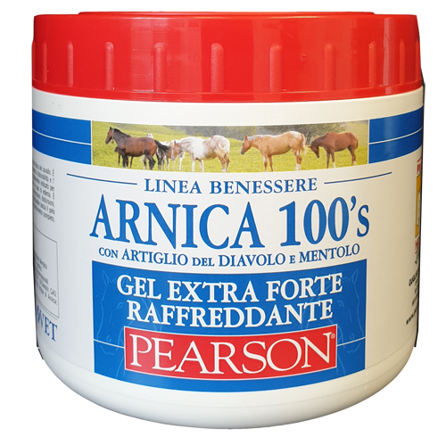 ARNICA 100'S EXTRA FORTE 500 ML - Gruppofarmastore.it