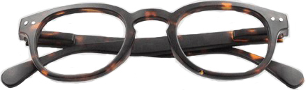 OCCHIALE DA LETTURA PREMONTATO TWINS PLATINUM RETRO MARRONE +1,50 - Gruppofarmastore.it