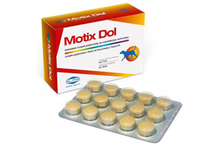 MOTIX DOL 60 COMPRESSE 48 G - Gruppofarmastore.it