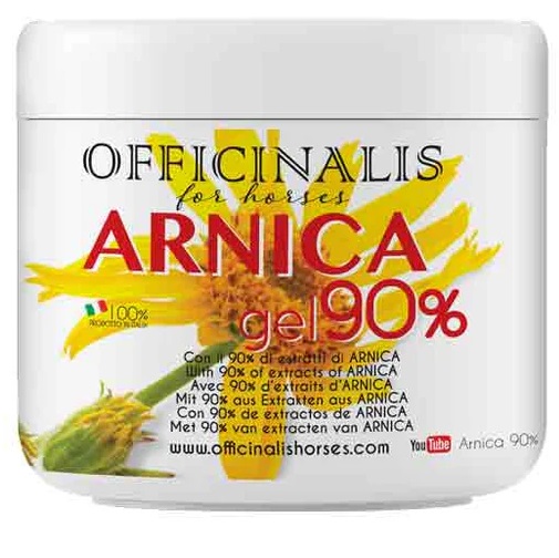 ARNICA GEL 90% 500 ML - Gruppofarmastore.it