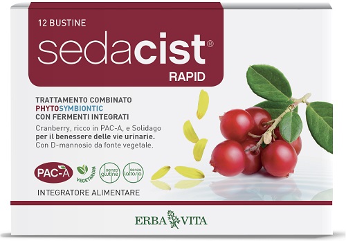 SEDACIST RAPID 6 + 6 BUSTINE - Gruppofarmastore.it