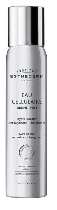 INSTI EAU CELLULAIRE BRUME 100 ML - Gruppofarmastore.it