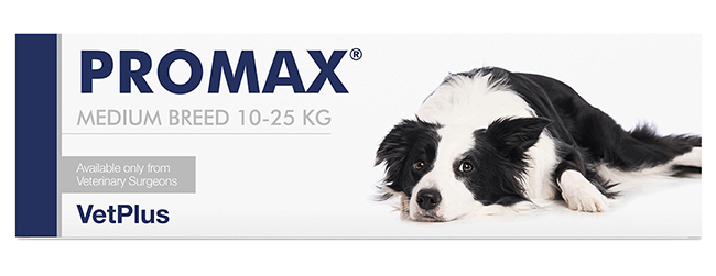 PROMAX MEDIUM BREED 18 ML - Gruppofarmastore.it