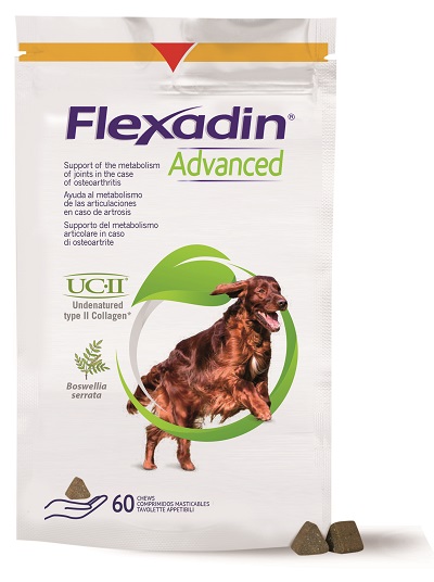 FLEXADIN ADVANCED 60 TAVOLETTE APPETIBILI MASTICABILI PER CANI - Gruppofarmastore.it