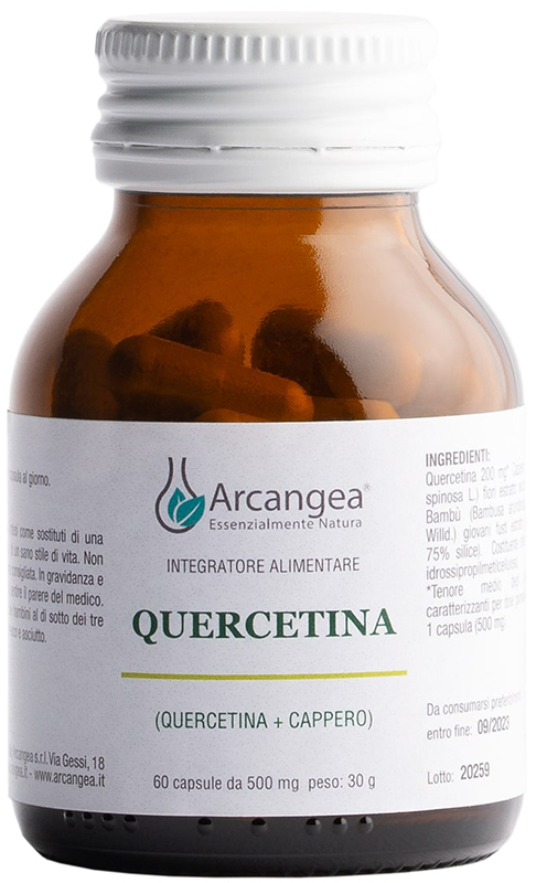 QUERCETINA 60 CAPSULE DA 500 MG - Gruppofarmastore.it