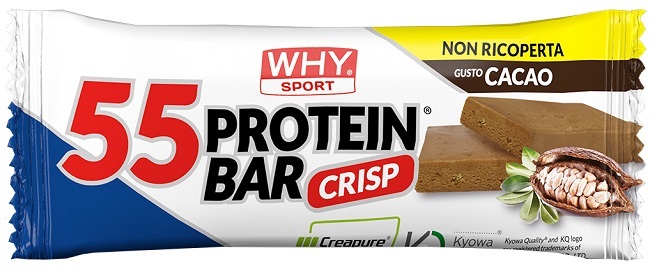 WHYSPORT 55 PROTEIN BAR CACAO 55 G - Gruppofarmastore.it