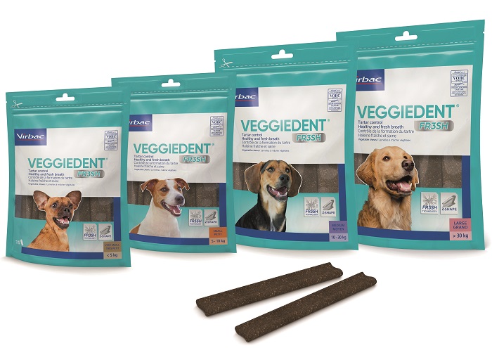 VEGGIEDENT FR3SH S 15 STICK - Gruppofarmastore.it