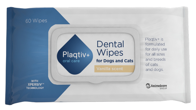 PLAQTIV+ ORAL CARE SALVIETTE DENTALI 60 PEZZI - Gruppofarmastore.it