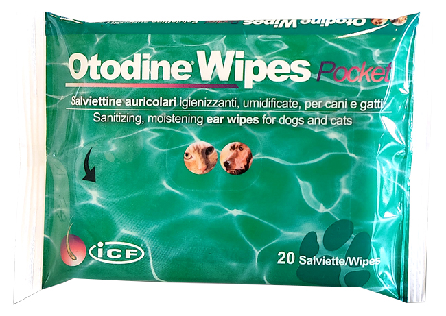 OTODINE WIPES POCKET 20 PEZZI - Gruppofarmastore.it