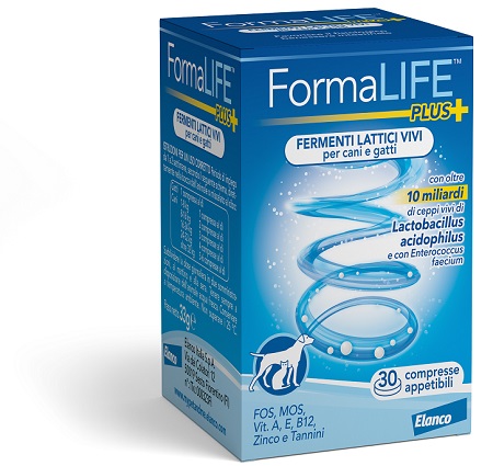 FORMALIFE PLUS FERMENTI LATTICI VIVI 30 COMPRESSE APPETIBILI - Gruppofarmastore.it