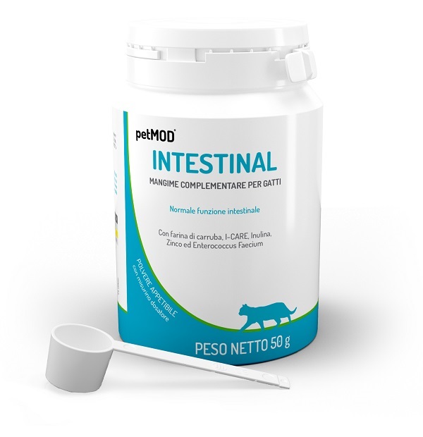 PETMOD INTESTINAL GATTO POLVERE 50 G - Gruppofarmastore.it