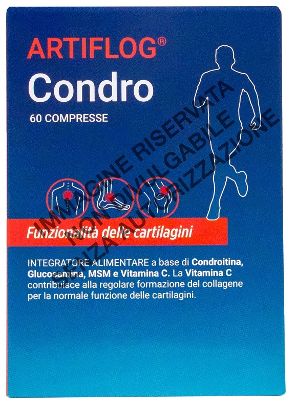 LABORATORIO DELLA FARMACIA ARTIFLOG CONDRO 60 COMPRESSE - Gruppofarmastore.it