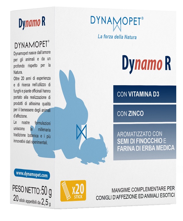 DYNAMO R 20 STICK DA 2,5 G - Gruppofarmastore.it