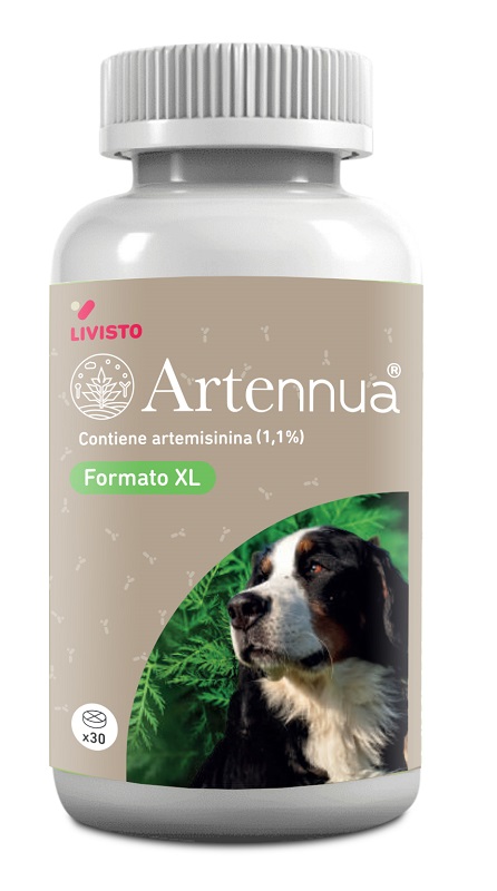 ARTENNUA XL 30 COMPRESSE - Gruppofarmastore.it